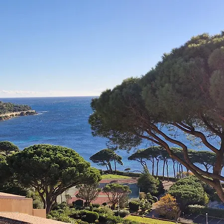 Triplex 4 Pieces, Vue Mer, Piscine, Parking, Animaux Admis A - Fr-1-780-44 Daire Sainte-Maxime