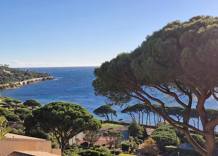 Triplex 4 Pieces, Vue Mer, Piscine, Parking, Animaux Admis A - Fr-1-780-44 Daire Sainte-Maxime